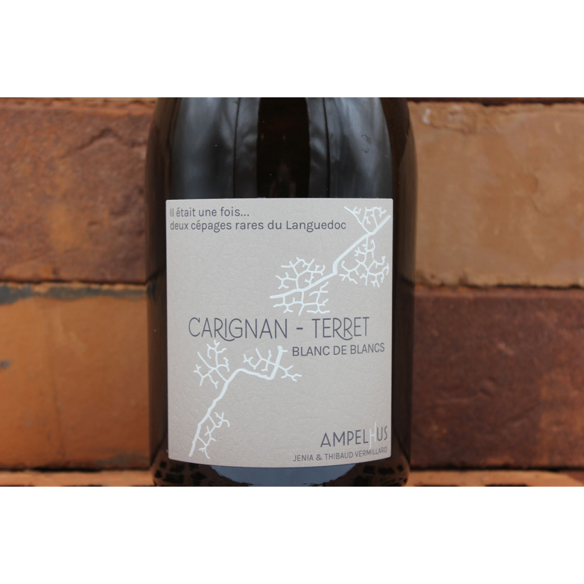 Vin de France, Carignan & Terret, Domaine Ampelhus